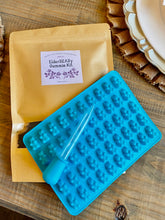 Load image into Gallery viewer, ElderBEARy Kit